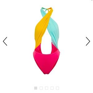 Reina Olga Colorblocked Cutout Swimsuit